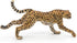 Papo Running Cheetah Figurine - Hand-Painted Wildlife Predator Toy for Kids Age 3+, 12.5 x 3.5 x 6.8 cm
