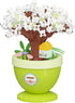 Jollcnoia Pear Moon Mini Bonsai Tree Micro Building Set Building Toy Plant Cherry