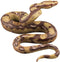Amosfun Realistic Fake Snakes Toy, Scary Snake Figure for Halloween Decoration Props and Pranks