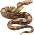 Amosfun Realistic Fake Snakes Toy, Scary Snake Figure for Halloween Decoration Props and Pranks