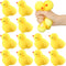 Meooeck 12 Pcs Chicken Stress Balls for Adult Mini Chick Fun Squeeze
