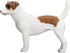 MOJO Jack Russell Terrier Realistic Domesticated Animal Toy Replica, Hand Painted Figurine