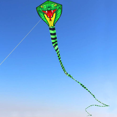 HENGDA KITE Large Power Snake Kites with Flying Line - Outdoor Fun Sports Kite