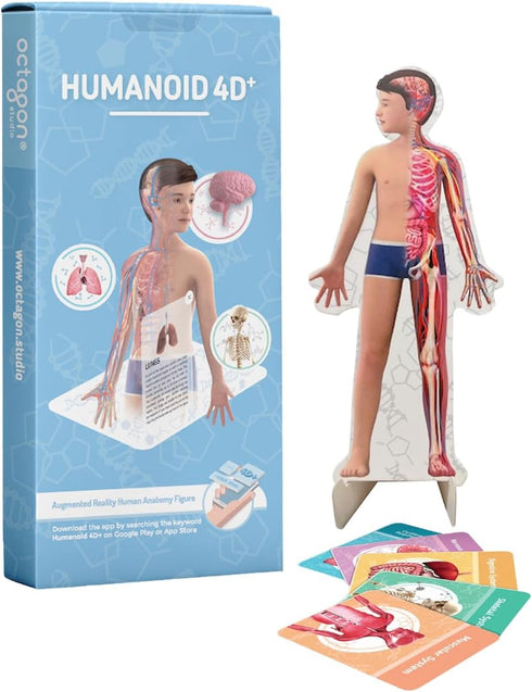 Humanoid 4D+ Augmented Reality Human Anatomy Model - Interactive STEM Tool with Free App
