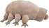 YUKOUQIAN 10 inch Tardigrade Stuffed Animal Tardigrade Plush Toy for Girls Boys Christmas (Tardigrade)