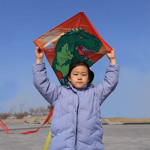 HONBO DIY Kite for Kids, Beginners Kite for Children 3 Years and Up, with 2x300cm Long Tails and 60m String