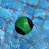 Water Bouncing Ball - 2 Pack Stress Relief Ball for Swimming, Beach & Outdoor Activity (Yellow + Green, 5.5cm)