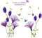 Removable Purple Lovely Lily Flowers Wall Stickers - DIY Flower Vines Art Quotes and Butterfly Decal for Home