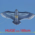 HENGDA KITE Strong Eagles! Huge 74-Inch Beginner Eagle Kites for Kids and Adults