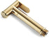 KCHTOWFZ HandheldSprayer Titanium Gold Cloth Diaper Sprayer BrassSprayer for Toilet Kit Shower Sprayer for Pet