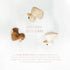 HEVEA Kawan Mini Rubber Duck - 100% Natural Rubber Baby Bath Toy - Eco Friendly, Mold Free, Teething, Bathing - Eggnog