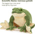 MorisMos Giant Frog Stuffed Animal - 22 Inch Large Green Plush Pillow for Kids