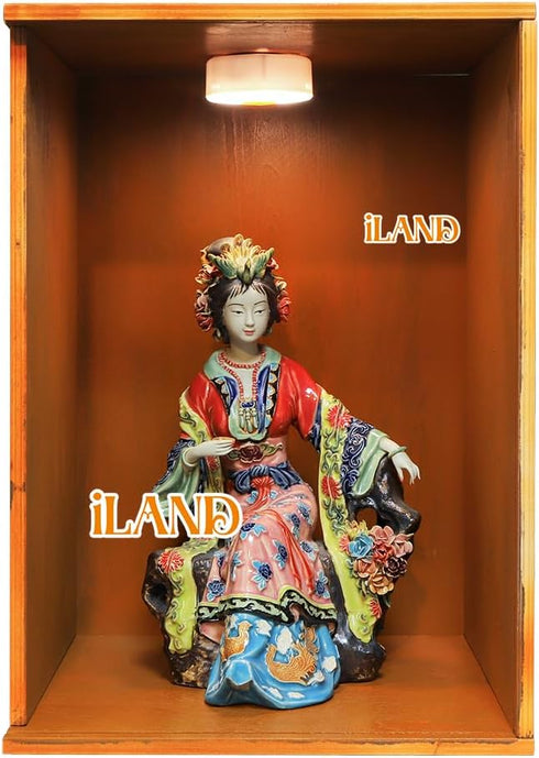 iLAND Large Wooden Display Box for Collectibles, Diorama Case, Quick-build Unfinished 15.7“ x 11” x 11“