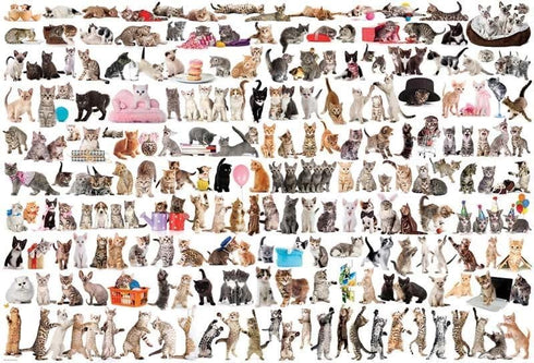 EuroGraphics The World of Cats Puzzle (2000-Piece) (8220-0580)