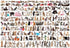EuroGraphics The World of Cats Puzzle (2000-Piece) (8220-0580)