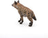 Papo Spotted Hyena Figure - African Wildlife Toy for Kids Age 3+, Hand Painted Carnivore Model