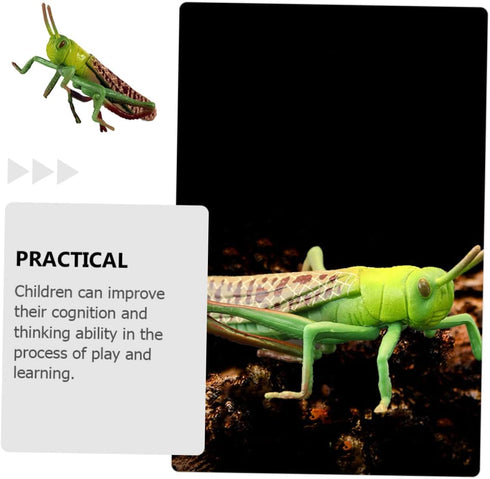 1pc Animal Model Christmas Ornaments, Educational Outdoor Playset Decor, Hanging Wall Decor Fake Grasshoppers Figurine