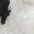 DEMDACO Sitting Small Havanese Dog Plush Stuffed Animal - Black and White