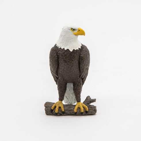 3+ PAPO - Sea Eagle - Realistic Figurine - for Ages - Wild Animal Kingdom Collection - Hand Painted - Highly Detailed