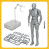Action Figures Body-Kun DX & Body-Chan DX PVC Figure Model Drawing for S H Figuarts (Gray, Male)