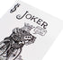 Bicycle Skull Deck Playing Cards with 4 Bonus Magic Cards Included