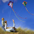 HONBO DIY Kite for Kids, Beginners Kite for Children 3 Years and Up, with 2x300cm Long Tails and 60m String