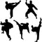 Amaonm Creative Vinyl Sport Taekwondo Wall Decor, Player Silhouette Decals, Removable DIY Stickers, 17"x51"