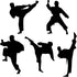 Amaonm Creative Vinyl Sport Taekwondo Wall Decor, Player Silhouette Decals, Removable DIY Stickers, 17"x51"