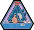 Think Fun Triazzle Picture-Matching Brainteaser Puzzle (Dolphins) for Ages 8 and Up (76491)