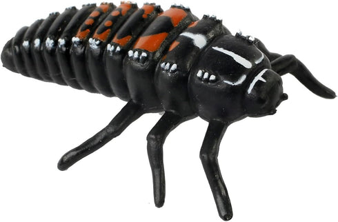 Insect Lore Ladybug Life Cycle, 4 PC Insect Figure Shows Life of Lady Bug