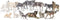 14PCS Wolf Toy Animal Figurines, Realistic Plastic Zoo Safari Animal Toys for