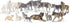 14PCS Wolf Toy Animal Figurines, Realistic Plastic Zoo Safari Animal Toys for