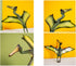 Gemini&Genius 3pcs Pterodactyl Action Figures, Realistic Flying Dinosaur Pteranodon Dino Toys Cake Toppers Set for Kids