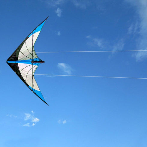 HENGDA KITE Upgrade Star Rhyme 48 Inch Dual Line Stunt Kite for Kids and Adults, Outdoor Sports