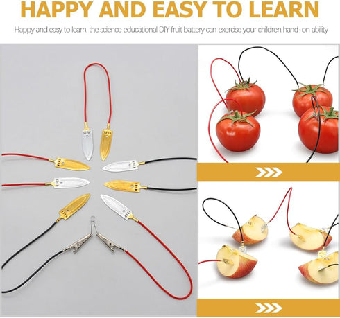 ULTECHNOVO Fruit Battery Science Experiment Kit, 5 Sets Potato Science Educational Kit