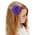 30pcs Baby Girls Alligator Hair Clips, Chiffon Flower Hair Barrettes Accessories for Kids Toddler Teens
