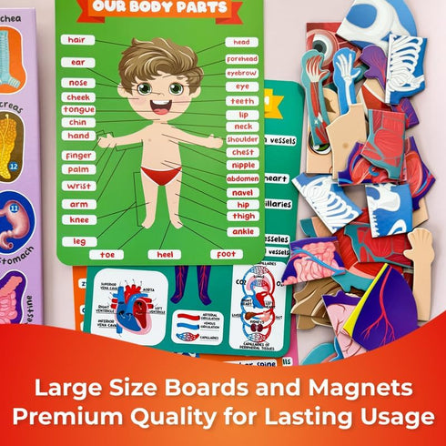 3-5 QUOKKA Magnetic Puzzles for Kids Montessori Puzzles for Toddlers Preschool Game Learning Human Body Parts Anatomy