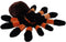 Wild Republic Tarantula Plush - 12 Inch Stuffed Animal, Cuddlekins Plush Toy, Gifts for Kids (Black, Orange, Brown)