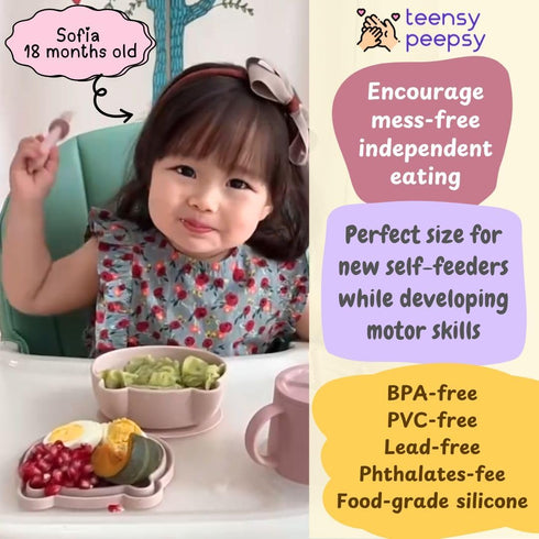 6+ Silicone Bear Shaped Baby Bowl with Suction, Spoon & Fork for Babies Months, Infant Feeding BLW Baby Essentials Must