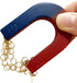 Physics Science Magnets Set for Experiment Education, Horseshoe U-Shaped Magnets Kit for Kids Students