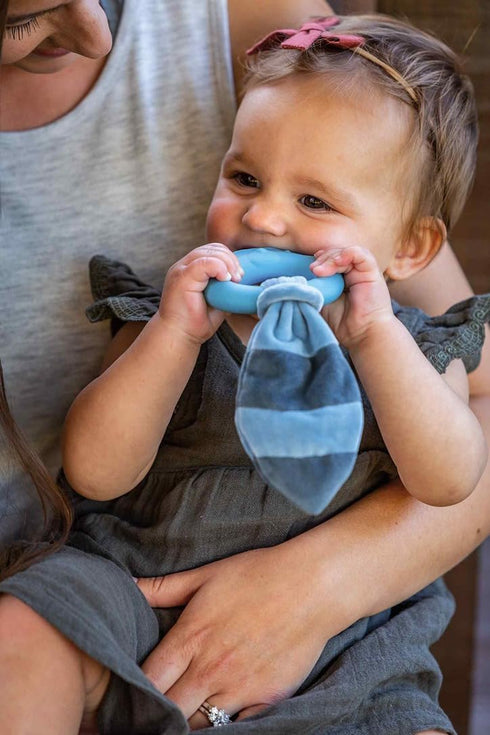 Mary Meyer Teething Toys Leika Silicone Baby Teether, 9-Inches, Little Raccoon for Babies 0-12 Months