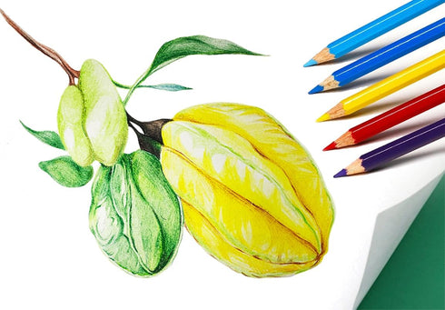 SKKSTATIONERY 144Pcs 12 12pcs/box, 144Pcs. Colored Pencils, Pre-sharpened, coloring pencils Bulk Back to School