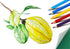 SKKSTATIONERY 144Pcs 12 12pcs/box, 144Pcs. Colored Pencils, Pre-sharpened, coloring pencils Bulk Back to School