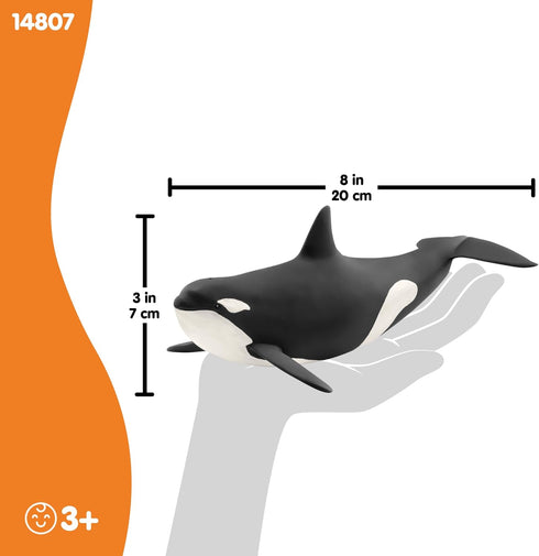 8 3+ 14807 schleich Wild Life - Killer Whale Toy - Realistic Orca Figurine - Ocean Wildlife Animal Figure