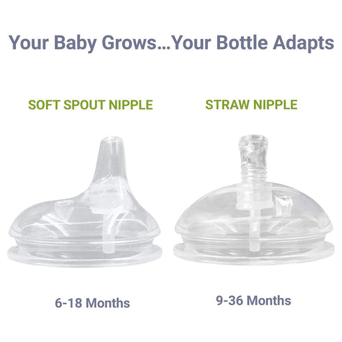 Anpei Straw and Sippy Cup Transitional Nipples - Set of 2 with Nipple Storage Case, Compatible with Comotomo