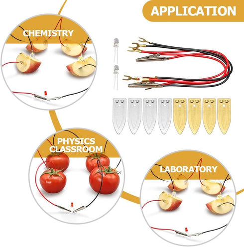 ULTECHNOVO Fruit Battery Science Experiment Kit, 5 Sets Potato Science Educational Kit