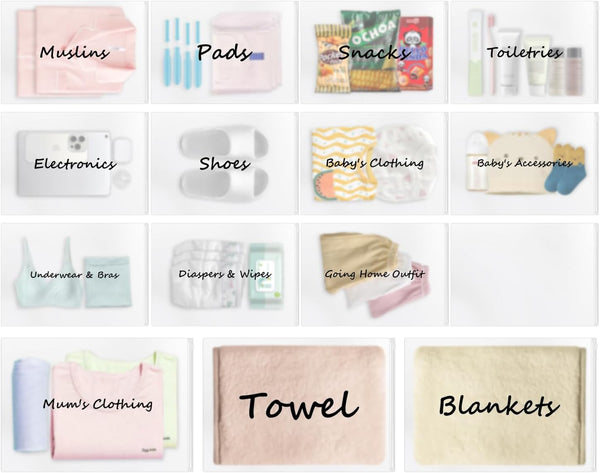 GZ-AMDZJ 20 Pack Hospital Bag for Women Labor Delivery, Diaper Bag Organizing Pouches