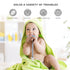 Baby Teething Toys for 3-12 Months, Dinosaur Teether Pain Relief Toy with Pacifier Clip Holder Set, Freezer Safe (Grey)