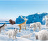 Mini Arctic Animals Figurines Set, 10pcs Realistic Plastic Arctic Toy Figures for Kids Birthday Gift