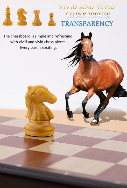 PGDOV Sets 9.5 Inches Set 2-Player Chess Magnetic Board Games - Travel Chess for Teenager & Adults, Wooden-Style